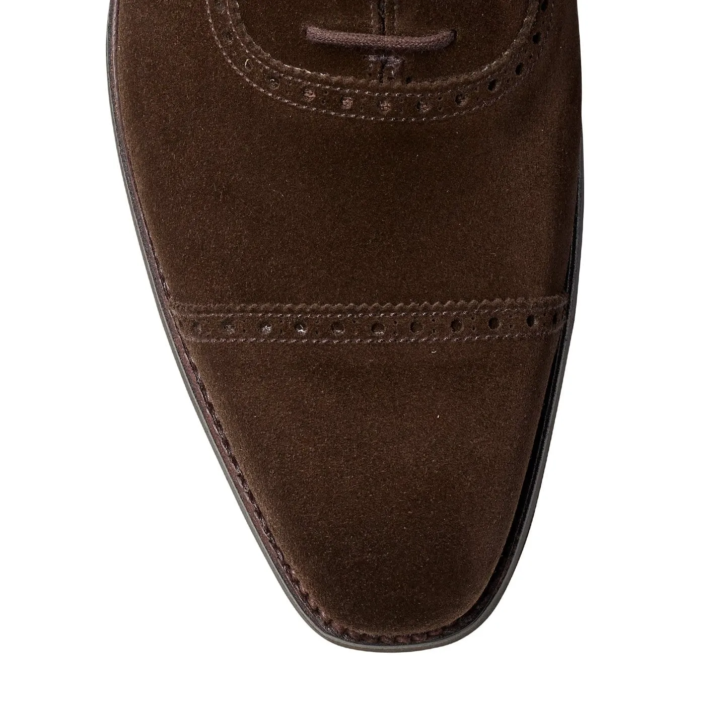 Board Room Westbourne Dark Brown Calf Suede